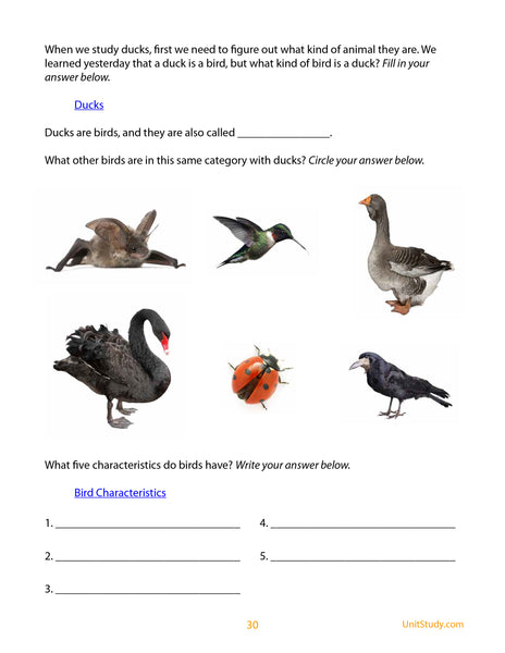 Duck Unit Study Guide 