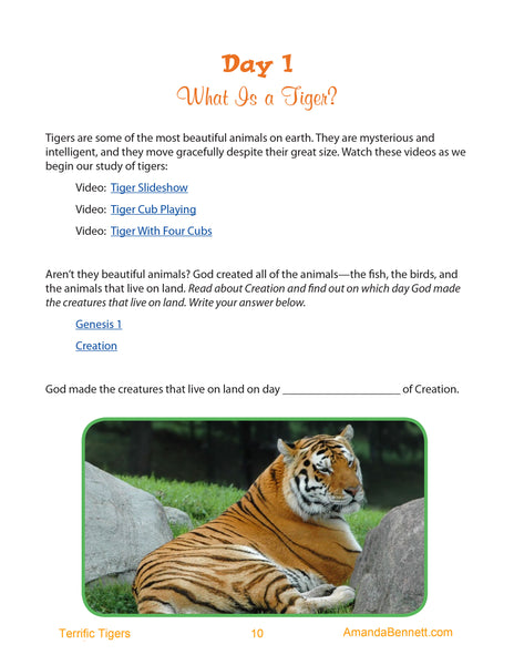 10 terrific tiger facts for kids - National Geographic Kids