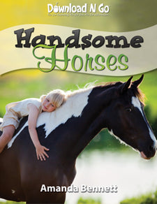Handsome Horses