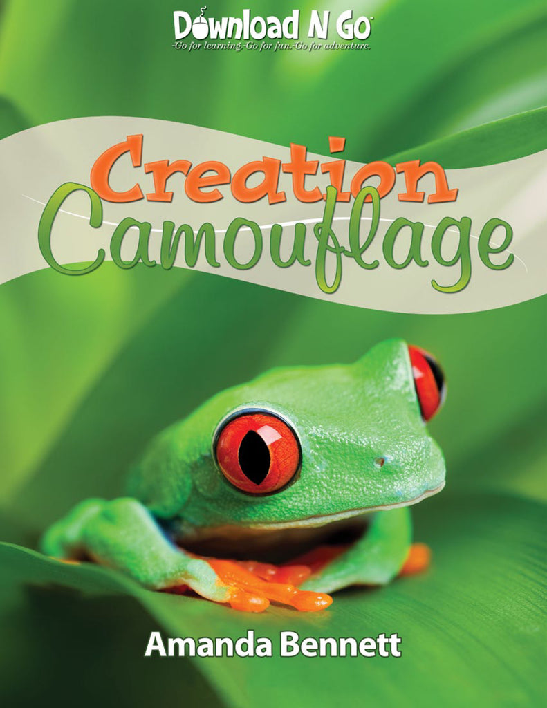 Creation Camouflage