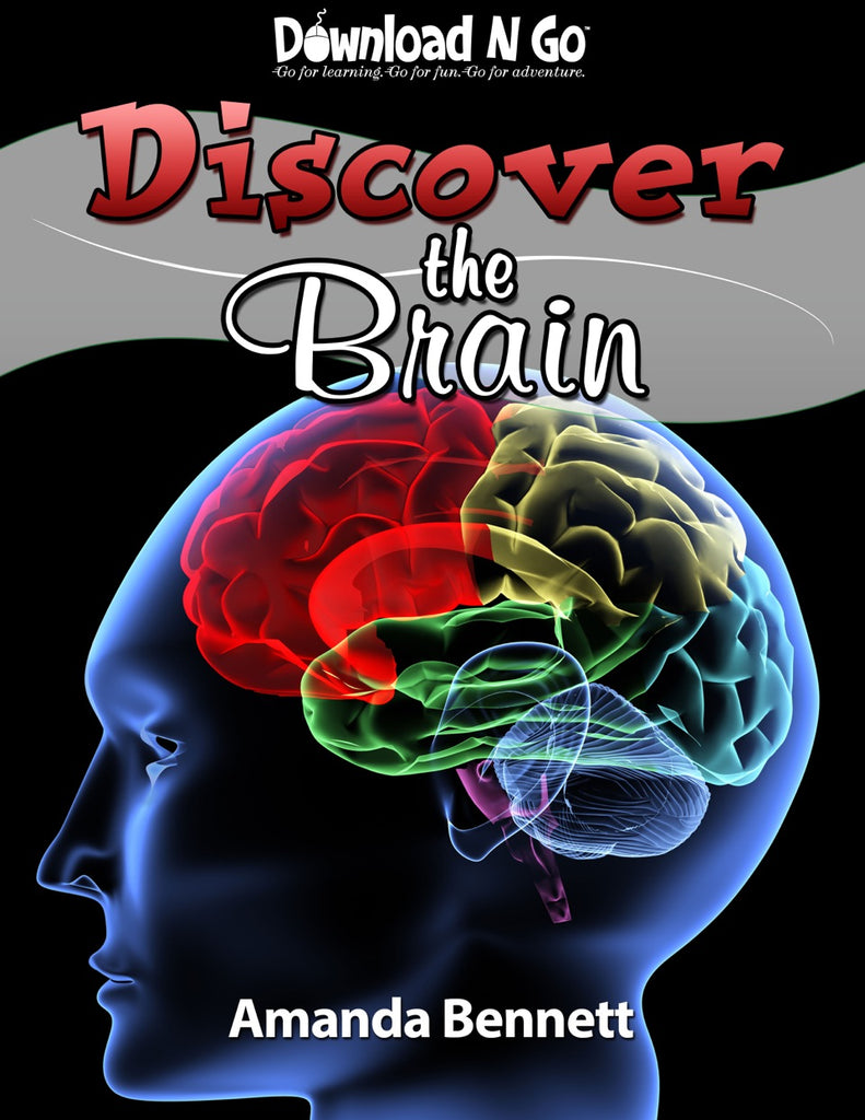 Discover the Brain