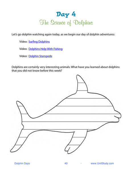 Dolphin-Days_SamplePDF-3.17-5_grande.jpg?v=1535993749