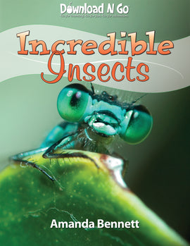 Incredible Insects