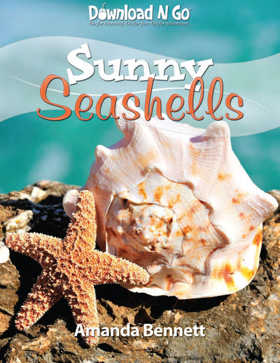 Sunny Seashells