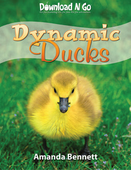Dynamic Ducks