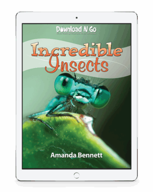 Incredible Insects looks at beetles to luna moths, explores habitat extremes and insects around the globe! A fun, fascinating, and unforgettable homeschool study.