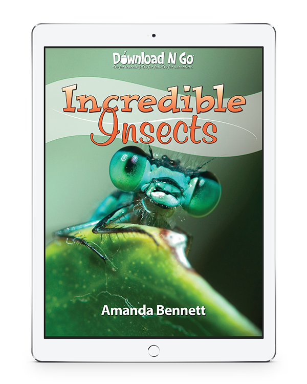 Incredible Insects looks at beetles to luna moths, explores habitat extremes and insects around the globe! A fun, fascinating, and unforgettable homeschool study.