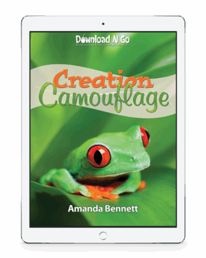 Creation Camouflage