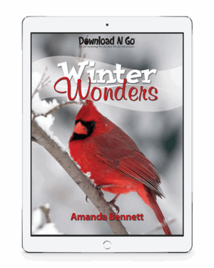No longer is the coldest season just a winter wonderland—use Winter Wonders and warm up to an educational exploration! A Snowflake Bentley pop-up book and more!
