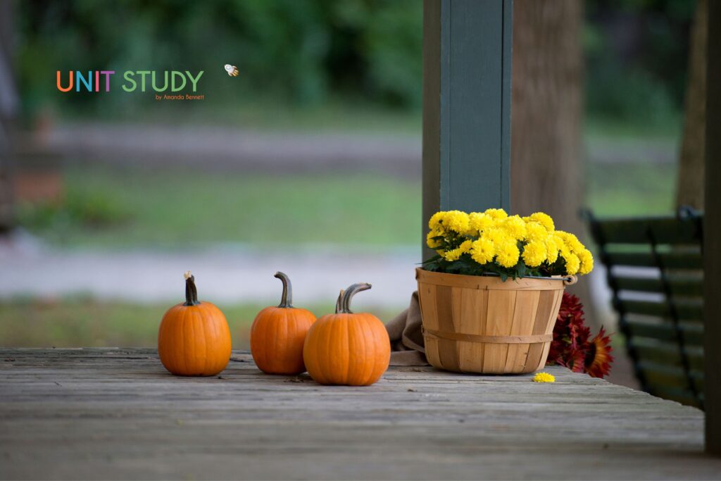 The arrival of fall brings with it a host of opportunities to celebrate with autumn traditions in your homeschool.