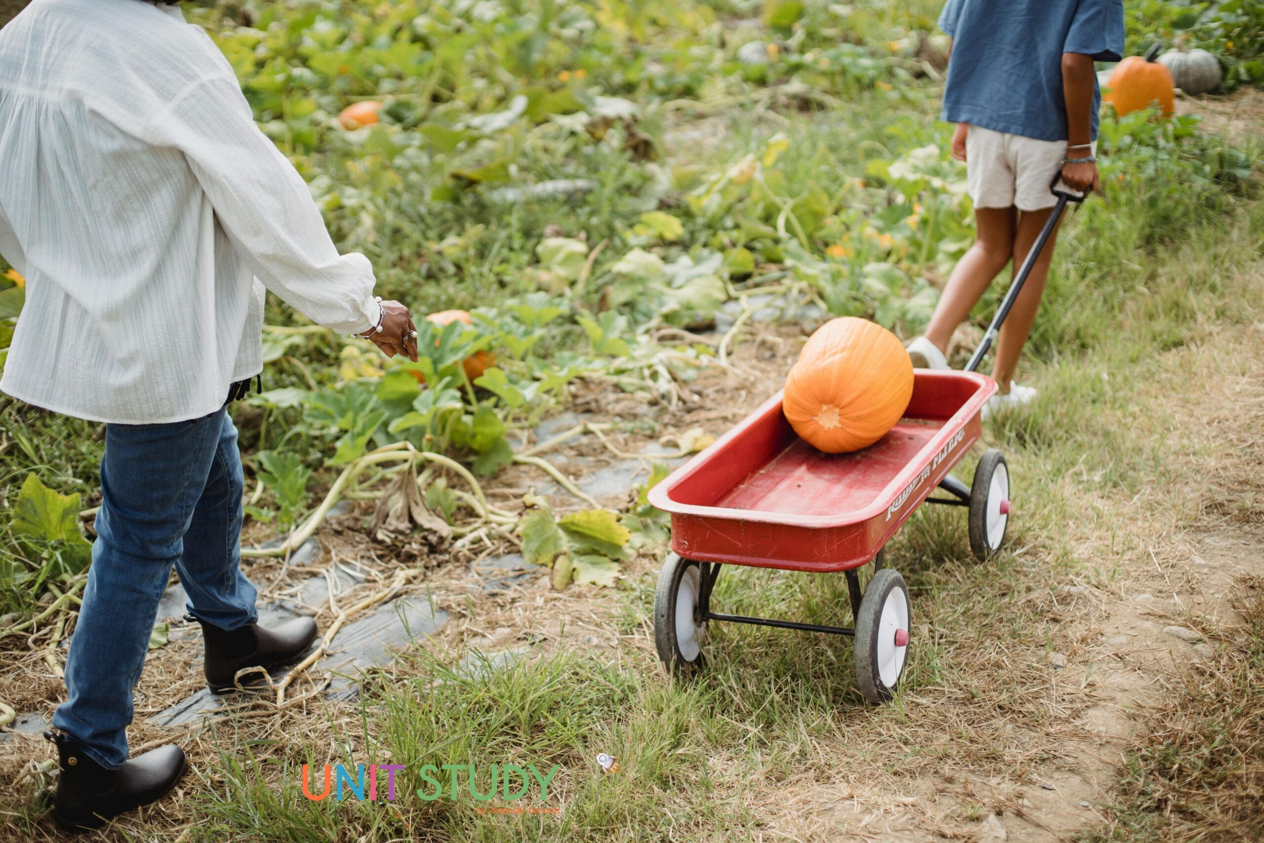The arrival of fall brings with it a host of opportunities to celebrate with autumn traditions in your homeschool.
