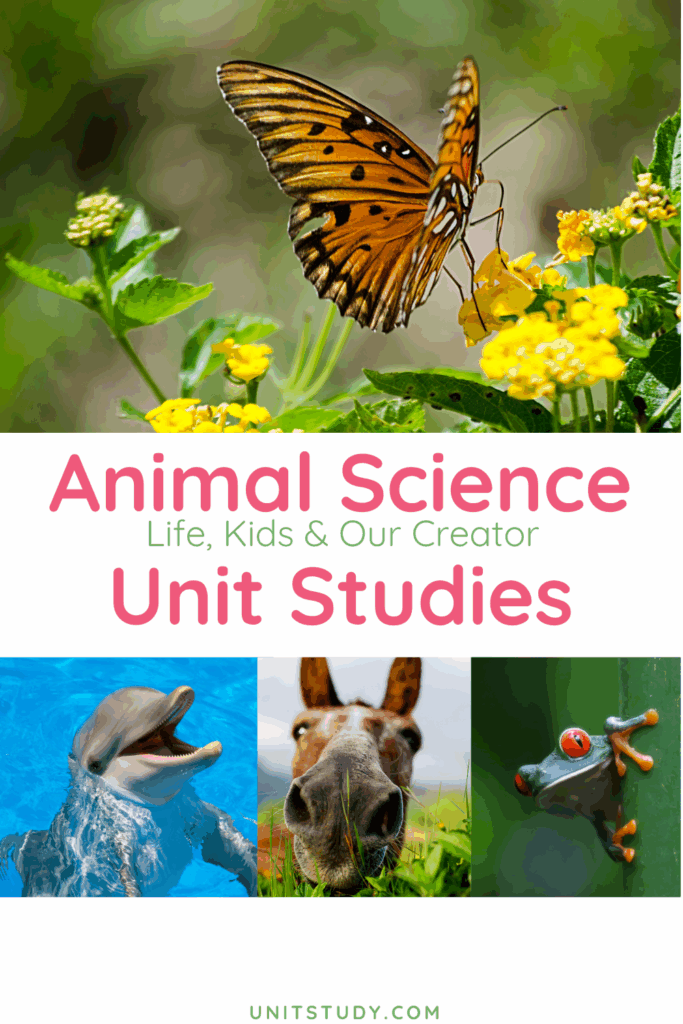 Our Animal Science Unit Studies weave together life, creation and the joy of childhood. Education can be beautiful and engaging.