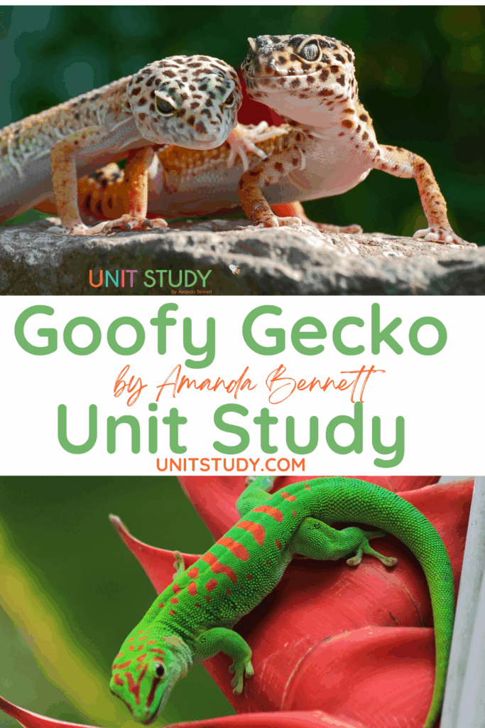 Goofy Gecko unit study for homeschool by Amanda Bennett! The mischievous gecko reminds us of the amazing creativity of our Creator and His ability to make this world a special place for all of His creations.