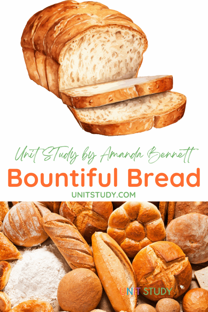 With Bountiful Bread, learn holiday favorites to daily breads as bread dates way back to biblical times and still plays an important role in our lives.