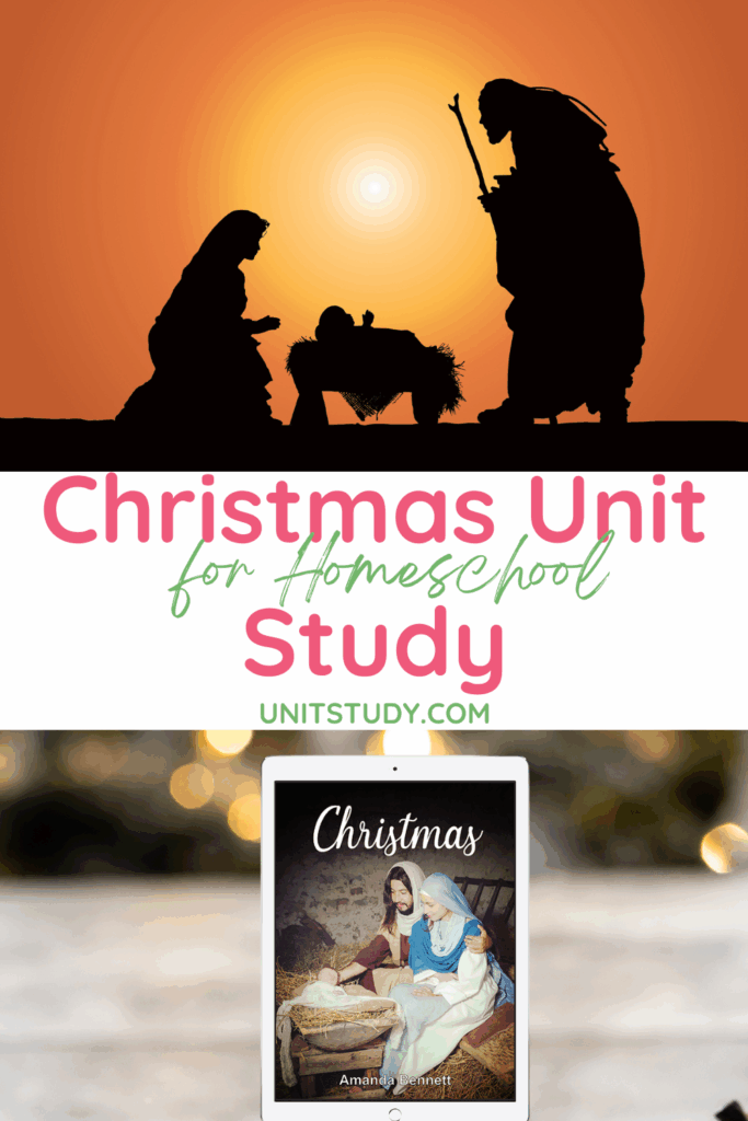 Christmas: a special time of rejoicing as we celebrate the birth of the Son of God, the Messiah. Learn what the world was like at the time of Christ’s birth. Use this study to help your children understand the significance that the coming Savior had for so many people. Read about the prophecies that were fulfilled by His birth, and begin to clearly see God’s hand in history since the very beginning of time.