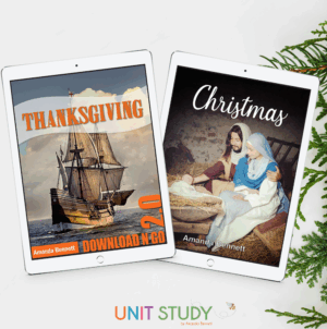 Thanksgiving and Christmas Bundle