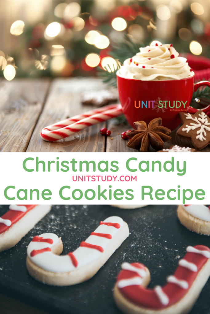 Make memories with this Christmas candy cane cookies recipe! A sweet and simple activity sure to bring joy this season!