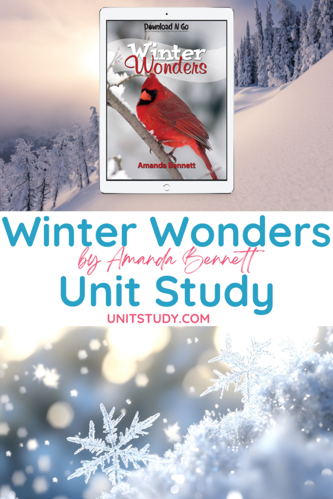 No longer is the coldest season just a winter wonderland—use Winter Wonders and warm up to an educational exploration! A Snowflake Bentley pop-up book and more!