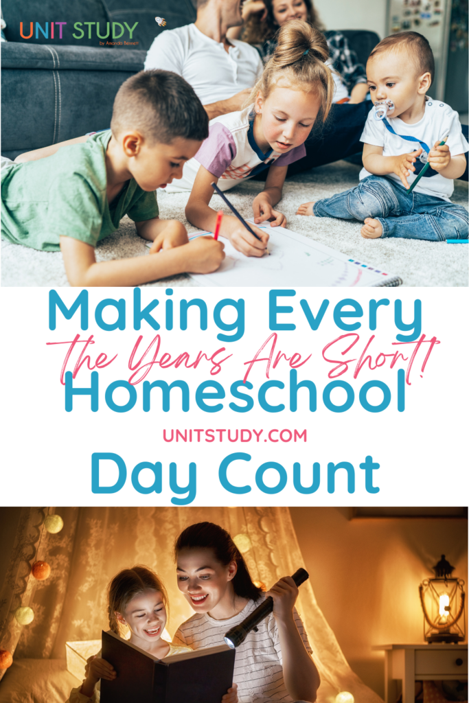 Making Every Homeschool Day count has less to do with curriculum and more to do with slowing down and savoring your time.