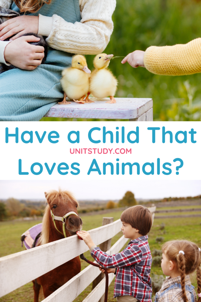 Do you have a child who loves animals? Feed their interest with Creation Camouflage and Astonishing Animals homeschool unit studies!